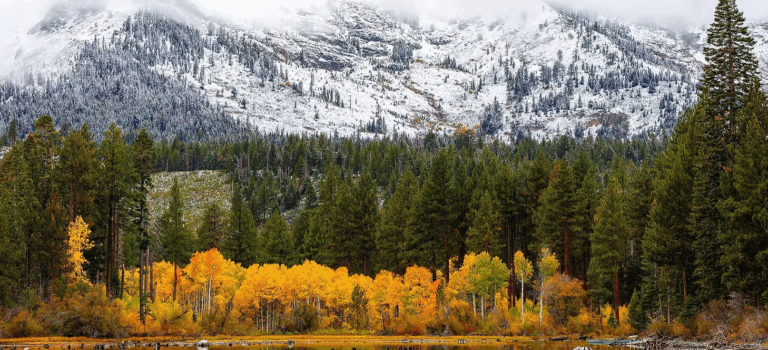 Inside Incline | Market Update: October 24, 2025