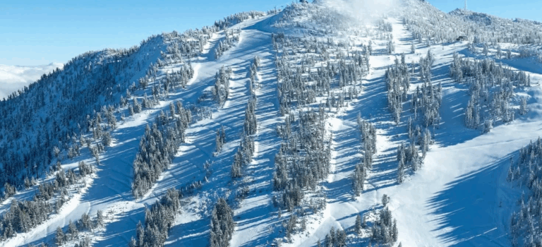 Inside Incline | Market Update: November 20, 2025